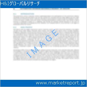 市場と産業調査レポートのイメージ